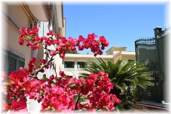 Fiori Ingresso fiorito